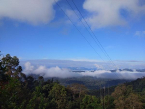 Pinak stay, Madikeri